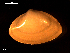  ( - MT09104)  @11 [ ] CreativeCommons - Attribution Non-Commercial Share-Alike (2015) Unspecified Deutsche Zentrum fuer Marine Biodiversitaetsforschung Wilhelmshaven