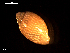  ( - MT09219)  @11 [ ] CreativeCommons - Attribution Non-Commercial Share-Alike (2015) Unspecified Deutsche Zentrum fuer Marine Biodiversitaetsforschung Wilhelmshaven