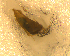  ( - BNB2-00167)  @12 [ ] CreativeCommons - Attribution (2010) Unspecified Centre for Biodiversity Genomics