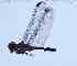  ( - BNBTO-0200)  @11 [ ] Unspecified (default): All Rights Reserved  Unspecified Unspecified