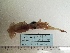  ( - MT03077)  @12 [ ] Copyright (2013) Unspecified Deutsches Zentrum fuer Marine Biodiversitaetsforschung