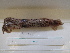 ( - MT04902)  @13 [ ] Copyright (2013) Unspecified Deutsches Zentrum fuer Marine Biodiversitaetsforschung