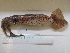  ( - MT04910)  @13 [ ] Copyright (2013) Unspecified Deutsches Zentrum fuer Marine Biodiversitaetsforschung