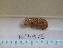  ( - MT04915)  @13 [ ] Copyright (2013) Unspecified Deutsches Zentrum fuer Marine Biodiversitaetsforschung