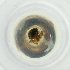  ( - MOZZ00000887A_G8)  @11 [ ] by  Genome Research Ltd as Wellcome Sanger Institute Genome Research Limited operating as Wellcome Sanger Institute