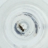  ( - MOZZ00000889A_G2)  @11 [ ] by  Genome Research Ltd as Wellcome Sanger Institute Genome Research Limited operating as Wellcome Sanger Institute