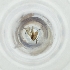  ( - MOZZ00000890A_C6)  @11 [ ] by  Genome Research Ltd as Wellcome Sanger Institute Genome Research Limited operating as Wellcome Sanger Institute