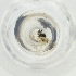  ( - MOZZ00000893A_D7)  @11 [ ] by  Genome Research Ltd as Wellcome Sanger Institute Genome Research Limited operating as Wellcome Sanger Institute