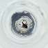  ( - MOZZ00000894A_C11)  @11 [ ] by  Genome Research Ltd as Wellcome Sanger Institute Genome Research Limited operating as Wellcome Sanger Institute