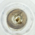  ( - MOZZ00000894A_D3)  @11 [ ] by  Genome Research Ltd as Wellcome Sanger Institute Genome Research Limited operating as Wellcome Sanger Institute
