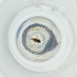  ( - MOZZ00000894A_H9)  @11 [ ] by  Genome Research Ltd as Wellcome Sanger Institute Genome Research Limited operating as Wellcome Sanger Institute