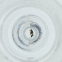  ( - MOZZ00000896A_A1)  @11 [ ] by  Genome Research Ltd as Wellcome Sanger Institute Genome Research Limited operating as Wellcome Sanger Institute
