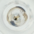  ( - MOZZ00000898A_G11)  @11 [ ] by  Genome Research Ltd as Wellcome Sanger Institute Genome Research Limited operating as Wellcome Sanger Institute