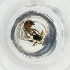 ( - MOZZ00000898A_H10)  @11 [ ] by  Genome Research Ltd as Wellcome Sanger Institute Genome Research Limited operating as Wellcome Sanger Institute