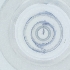  ( - NHMG_121_D11)  @11 [ ] by (2004) Genome Research Ltd as Wellcome Sanger Institute Genome Research Limited operating as Wellcome Sanger Institute