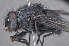  ( - TLW 140)  @12 [ ] No Rights Reserved (2011) Terry Whitworth Unspecified