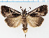  ( - F.94065)  @11 [ ] CreativeCommons  Attribution Non-Commercial Share-Alike (2022) Unspecified University of Oulu