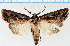  ( - F.94399)  @11 [ ] CreativeCommons  Attribution Non-Commercial Share-Alike (2022) Unspecified University of Oulu