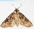  ( - F.94409)  @11 [ ] CreativeCommons  Attribution Non-Commercial Share-Alike (2022) Unspecified University of Oulu