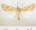  ( - F.95760)  @11 [ ] CreativeCommons  Attribution Non-Commercial Share-Alike (2022) Unspecified Finnish Museum of Natural History
