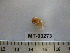  ( - MT03273)  @11 [ ] CreativeCommons - Attribution Non-Commercial Share-Alike (2012) Michael Raupach DZMB / Senckenberg am Meer