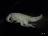 ( - MT03965)  @13 [ ] CreativeCommons - Attribution Non-Commercial Share-Alike (2014) Unspecified Deutsce Zentrum fuer Marine Biodiversitaetsforschung