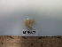  ( - MT06630)  @13 [ ] CreativeCommons - Attribution Non-Commercial Share-Alike (2014) Unspecified Deutsce Zentrum fuer Marine Biodiversitaetsforschung