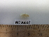  ( - MT06637)  @12 [ ] CreativeCommons - Attribution Non-Commercial Share-Alike (2014) Unspecified Deutsce Zentrum fuer Marine Biodiversitaetsforschung