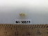  ( - MT06638)  @12 [ ] CreativeCommons - Attribution Non-Commercial Share-Alike (2014) Unspecified Deutsce Zentrum fuer Marine Biodiversitaetsforschung
