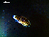  ( - MT03145)  @11 [ ] CreativeCommons - Attribution Non-Commercial Share-Alike (2012) Michael Raupach DZMB / Senckenberg am Meer