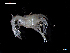  ( - MT06775)  @11 [ ] CreativeCommons - Attribution Non-Commercial Share-Alike (2014) Unspecified Deutsches Zentrum fuer Marine Biodiversitaetsforschung