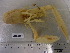  ( - MT08102)  @11 [ ] CreativeCommons - Attribution Non-Commercial Share-Alike (2014) Unspecified Deutsches Zentrum fuer Marine Biodiversitaetsforschung