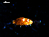  ( - MT03139)  @11 [ ] CreativeCommons - Attribution Non-Commercial Share-Alike (2014) Unspecified Deutsches Zentrum fuer Marine Biodiversitaetsforschung