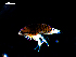  ( - MT03143)  @11 [ ] CreativeCommons - Attribution Non-Commercial Share-Alike (2014) Unspecified Deutsches Zentrum fuer Marine Biodiversitaetsforschung