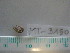  ( - MT03150)  @11 [ ] CreativeCommons - Attribution Non-Commercial Share-Alike (2014) Unspecified Deutsches Zentrum fuer Marine Biodiversitaetsforschung