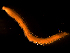  ( - MT03420)  @11 [ ] CreativeCommons - Attribution Non-Commercial Share-Alike (2011) Inga Mohrbeck DZMB
