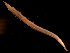  ( - MT03439)  @11 [ ] CreativeCommons - Attribution Non-Commercial Share-Alike (2011) Inga Mohrbeck DZMB