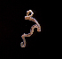  ( - MT03447)  @12 [ ] CreativeCommons - Attribution Non-Commercial Share-Alike (2011) Inga Mohrbeck DZMB
