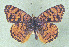 ( - CSU-CPG-LEP 1515)  @12 [ ] Unspecified (default): All Rights Reserved  Unspecified Unspecified