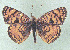 ( - CSU-CPG-LEP 1516)  @12 [ ] Unspecified (default): All Rights Reserved  Unspecified Unspecified