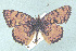  ( - CSU-CPG-LEP 1519)  @12 [ ] Unspecified (default): All Rights Reserved  Unspecified Unspecified