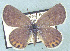  ( - CSU-CPG-LEP 1531)  @13 [ ] Unspecified (default): All Rights Reserved  Unspecified Unspecified