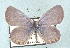  ( - CSU-CPG-LEP 1533)  @13 [ ] Unspecified (default): All Rights Reserved  Unspecified Unspecified