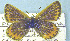  ( - CSU-CPG-LEP 1549)  @12 [ ] Unspecified (default): All Rights Reserved  Unspecified Unspecified