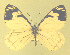  ( - CSU-CPG-LEP-1770)  @12 [ ] CreativeCommons - Attribution Share-Alike (2012) Paul A. Opler Colorado State University, C.P. Gillette Museum of Arthropod Diversity