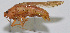 ( - Con024)  @12 [ ] CreativeCommons - Attribution (2010) Zhi-Jun Zhou Centre for Biodiversity Genomics