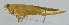  ( - Con044)  @12 [ ] CreativeCommons - Attribution (2010) Zhi-Jun Zhou Centre for Biodiversity Genomics