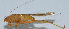  ( - Con051)  @12 [ ] CreativeCommons - Attribution (2010) Zhi-Jun Zhou Centre for Biodiversity Genomics