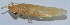  ( - Con159)  @12 [ ] CreativeCommons - Attribution (2010) Zhi-Jun Zhou Centre for Biodiversity Genomics