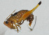  ( - Con171)  @12 [ ] CreativeCommons - Attribution (2010) Zhi-Jun Zhou Centre for Biodiversity Genomics